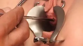 彼らの恋人を楽しんで彼らの猫 女性 の  ...